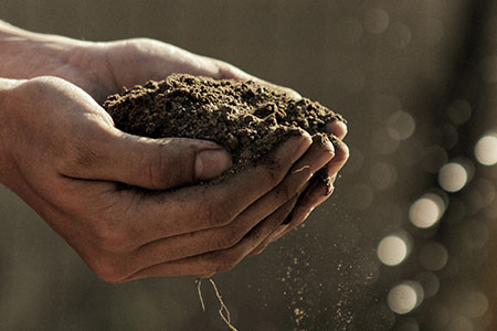 CeRDI_FedUni's tweet image. Turning data into trust: building Australia’s soil knowledge future - In January, CeRDI Senior Research Fellow Dr Alison Ollerenshaw delivered a university wide presentation to Federation’s Library Open Access Week program cerdi.edu.au/CeRDINewslette…

@FedUni_Research