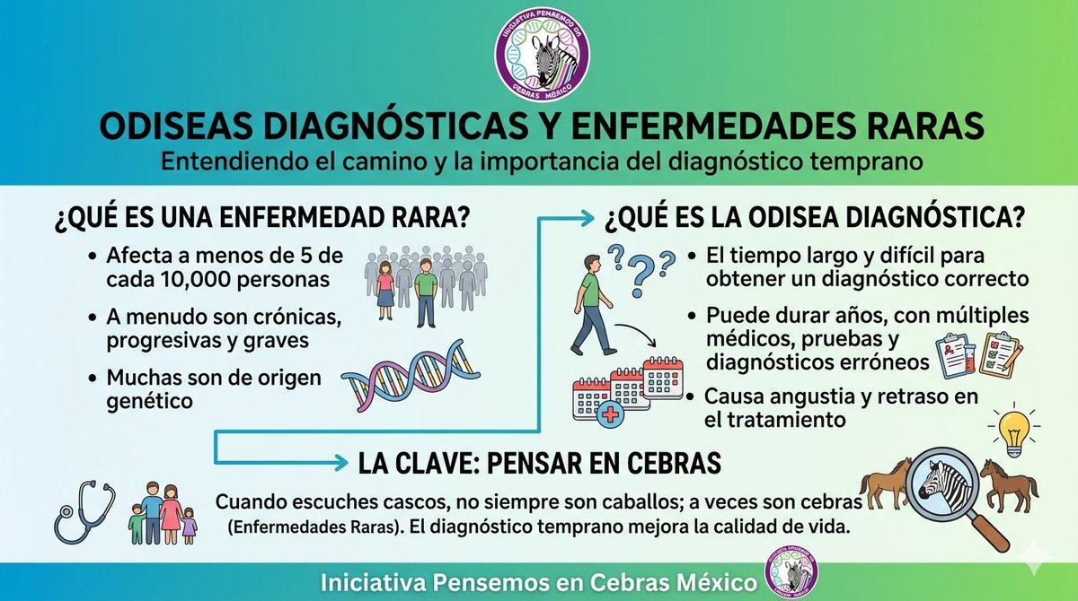PCebras's tweet photo. 29 de abril es el #DíaMundialdelasPersonasSinDiagnóstico 
Únete a la visibilización,  concientización y Acción por un diagnóstico temprano, oportuno y certero. ¡Cero Odiseas Diagnósticas por una Enfermedad Rara! 🦓
#EnfermedadesRaras #NoDejarANadieAtras https://t.co/SpOCV5cjEX