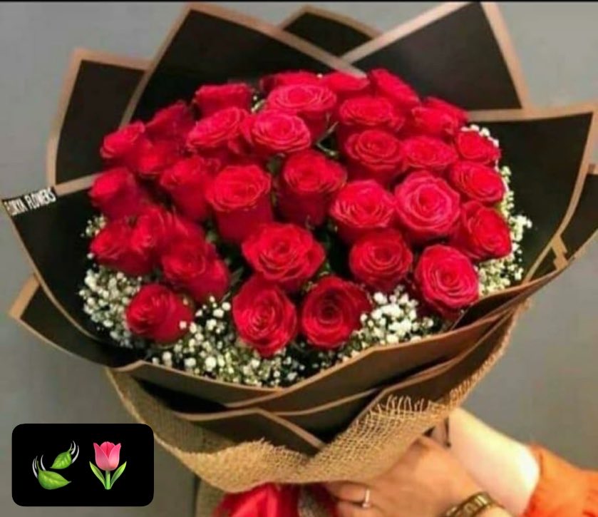 Madiha915's tweet image. Many thanks 
to all my friends 
for Love, Follows, 
reposts and Mentions, 
it’s appreciated a lot 
Flowers for you 
#Grateful 
#muchlove 
#KindnessMatters 
#PeaceAndLove 
#ThursdayThoughts 
#GoodMorning 
💕🍃💕🍃💕