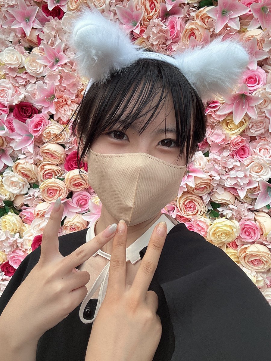 ザ・生配信 tweet media