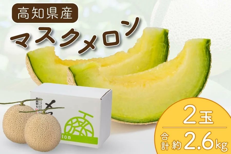 高知県の「マスクメロン」をご紹介🍈 温室メロンは、すべての栄養を