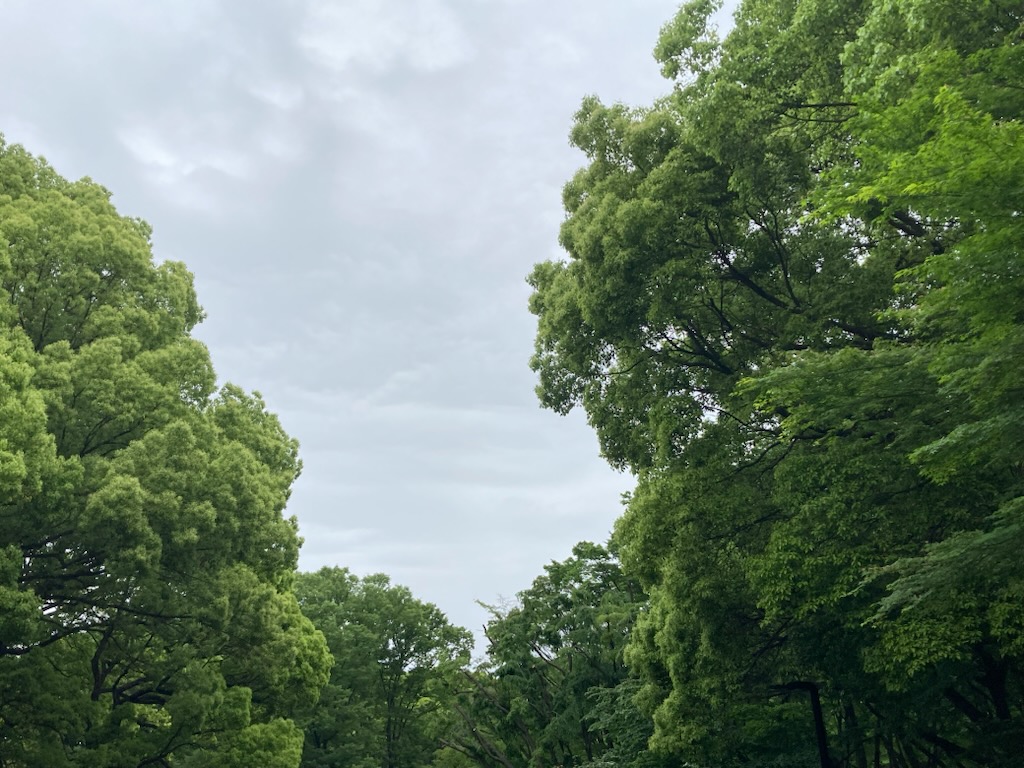 都立代々木公園 tweet media