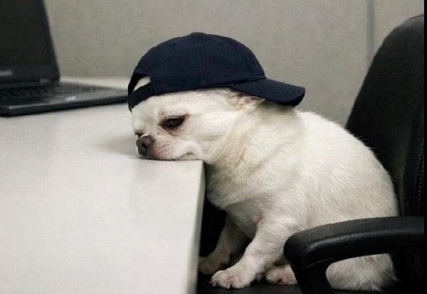 Heismartins tweet media