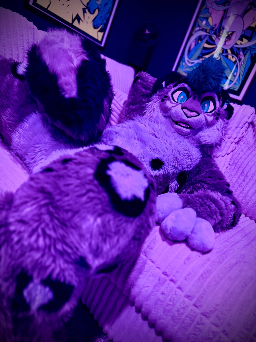 frostbyte910's tweet photo. Ready for #FWA #furryweekendATL #furryweekendatlanta #fursuiter #fursuit #furry #snep #snowleopard #roomparty #comecuddle #kitty https://t.co/50bnE7bc61