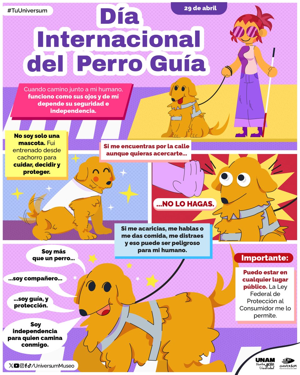 Fieles compañeros que nos pueden ayudar. 🐶🦮
Te contamos un poco sobre los perros guía. 🤗
#TuUniversum