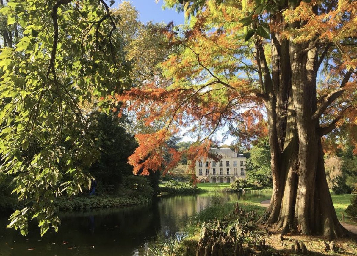 pierre75010's tweet photo. @po_petit A l'automne c'est incroyable https://t.co/yHWDk2Yw5j