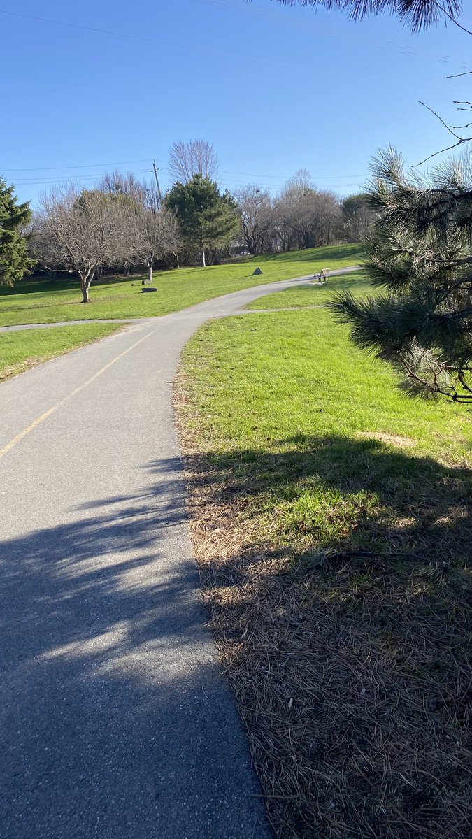 CarLemon's tweet image. Walk sightings #hiking 🇨🇦