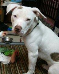 All4Freedom🇺🇲🐸🍿 tweet media