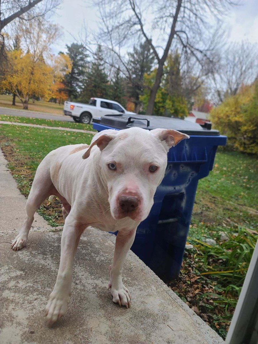 All4Freedom🇺🇲🐸🍿 tweet media