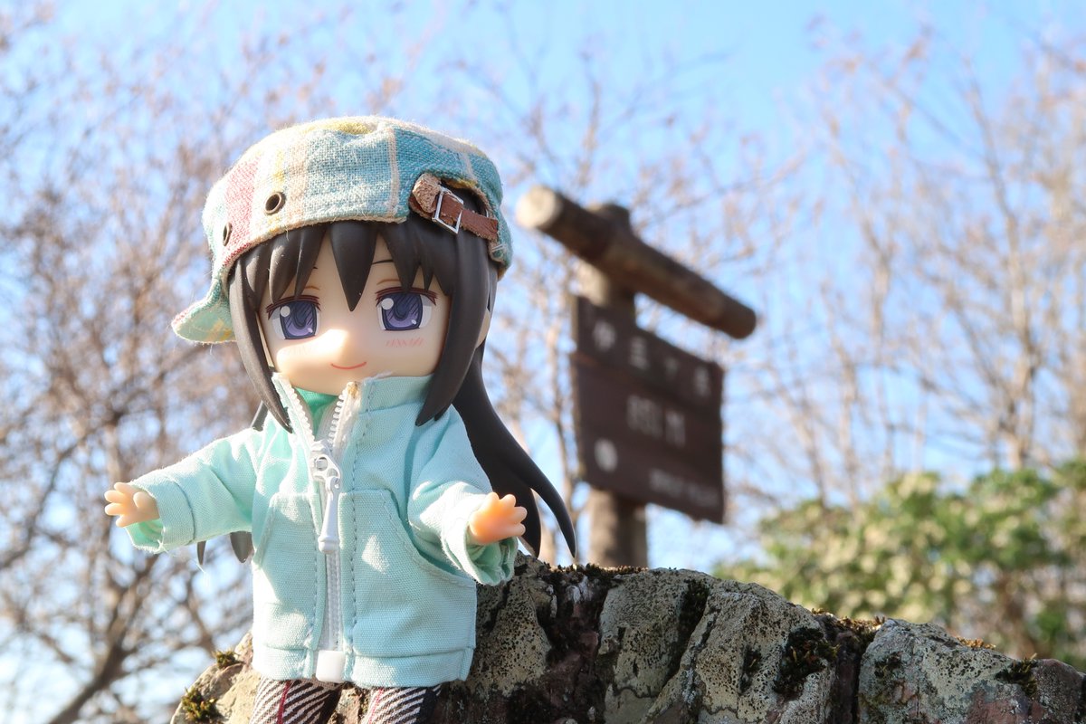 chelseatoshi's tweet photo. ホームマウンテン？への帰還。
 #ねんどろいどどーる #ねんどり https://t.co/cCzml2Hxqg