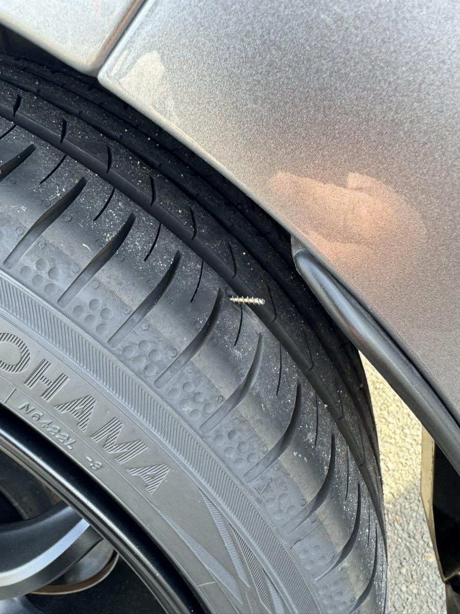 きのゆ tweet media