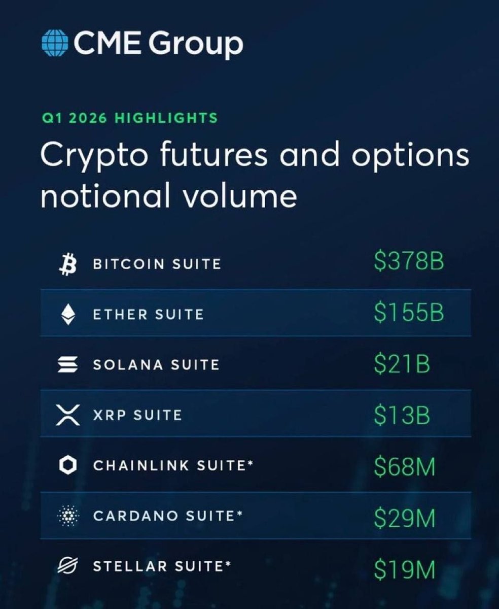 Mr Pool 2.0 tweet media
