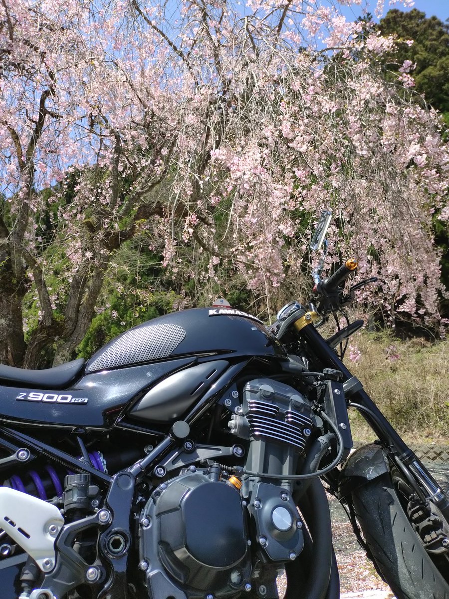 よっきゃん👍 tweet media