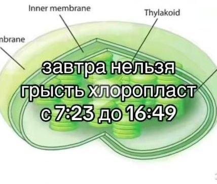 MurMuux's tweet photo. нельзя https://t.co/Bk7sM9eAXf