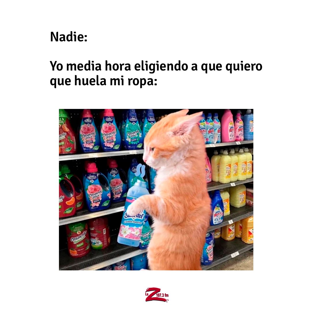 La Z 107.3 FM tweet media