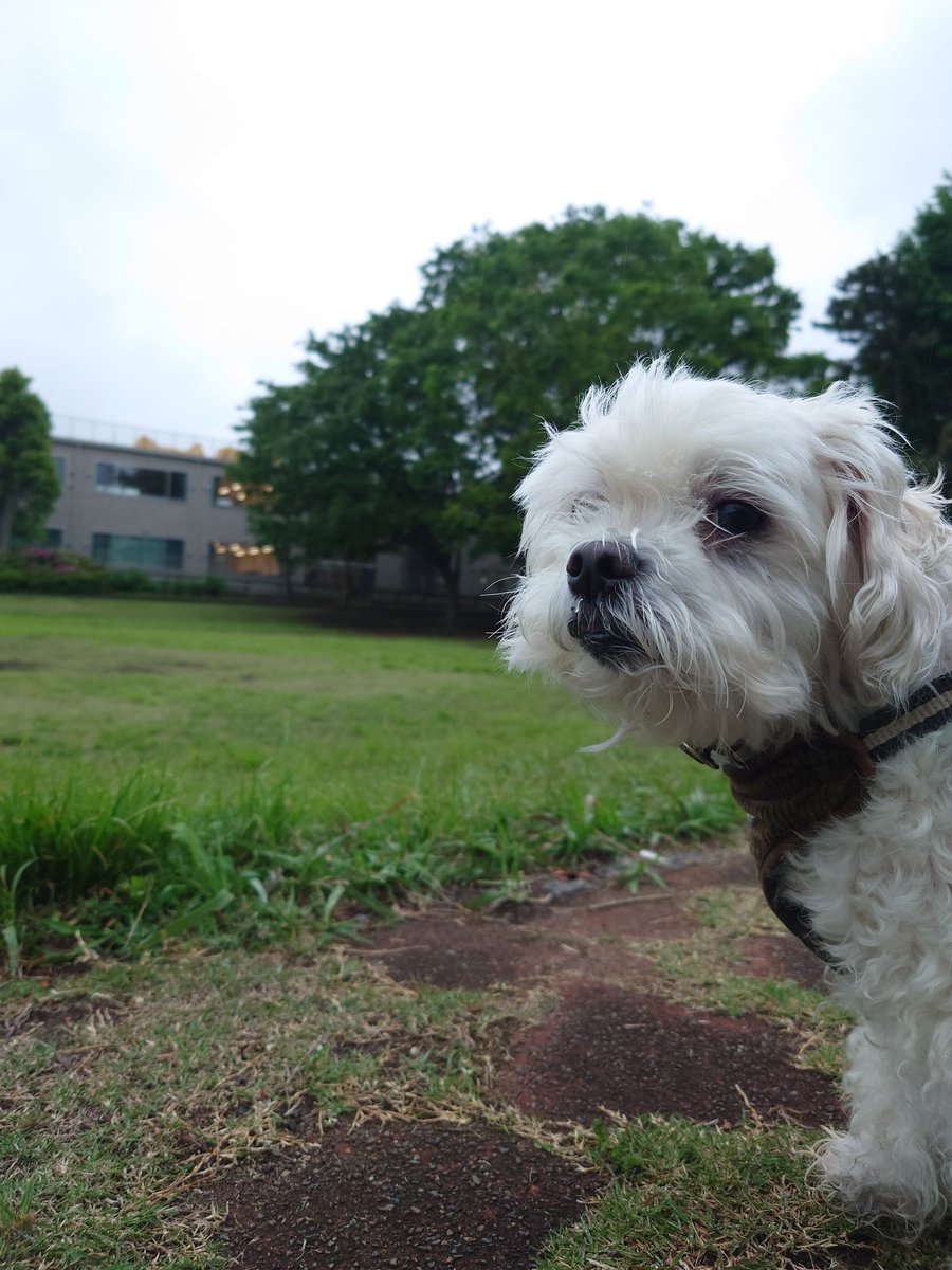 over🏍️R1M（5/4箱根YZFmtg✨️🤩超絶楽しみや🥰） tweet media