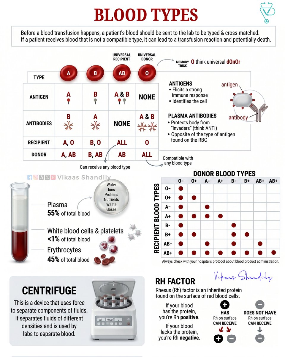 VikaasShandily's tweet image. Blood Types: ABO System, Rh Factor &amp;amp; Transfusion Compatibility 
#BloodTypes #MedicalEducation #Biology #NursingStudent #VikaasShandily