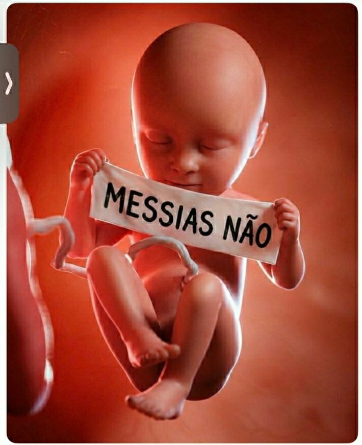 Flávio Almeida_DE_🇧🇷 tweet media