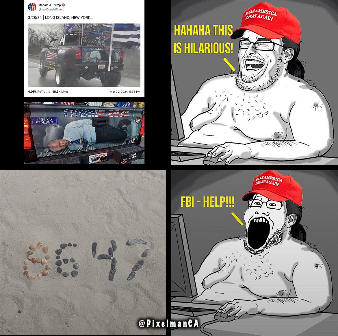 PixelmanCA tweet media