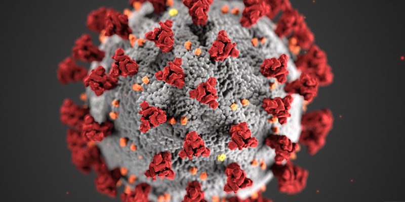 2minmed's tweet image. COVID-19 vaccination is associated with reduced risk of new-onset atrial fibrillation following COVID-19 infection dlvr.it/TSHpDP #Cardiology #ChronicDisease