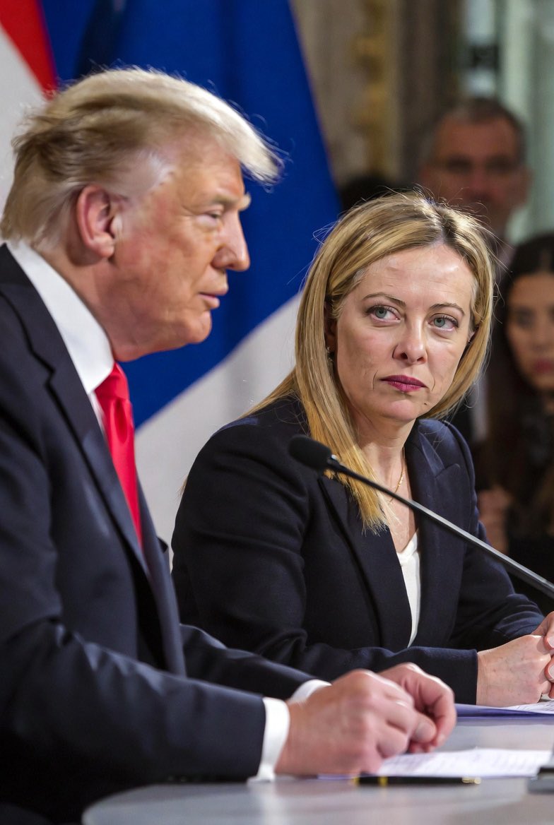 FAN Xking Elon tweet media