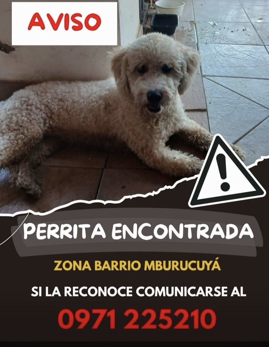 Busca a su familia