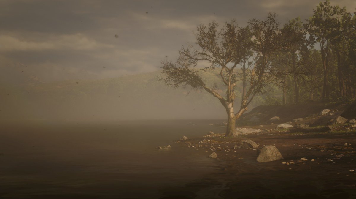 The_NightRider_'s tweet photo. #RedDeadRedemptionII #PS5share https://t.co/z8xe4bBWjL
