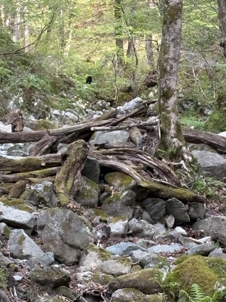 よってに@ tweet media