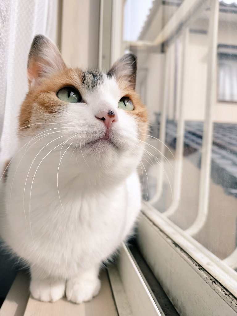 らら暮らし tweet media