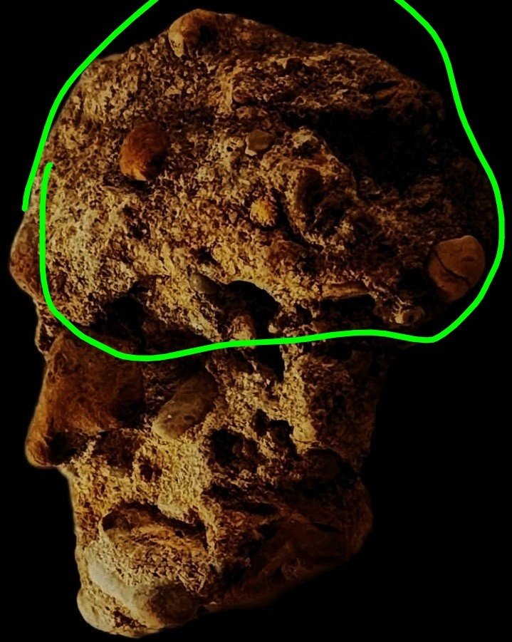 Spirit Realm tweet media