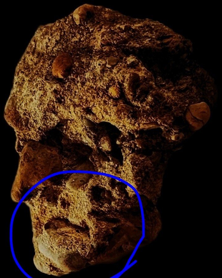 Spirit Realm tweet media