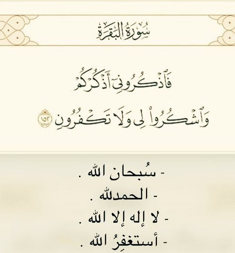 بدر tweet media