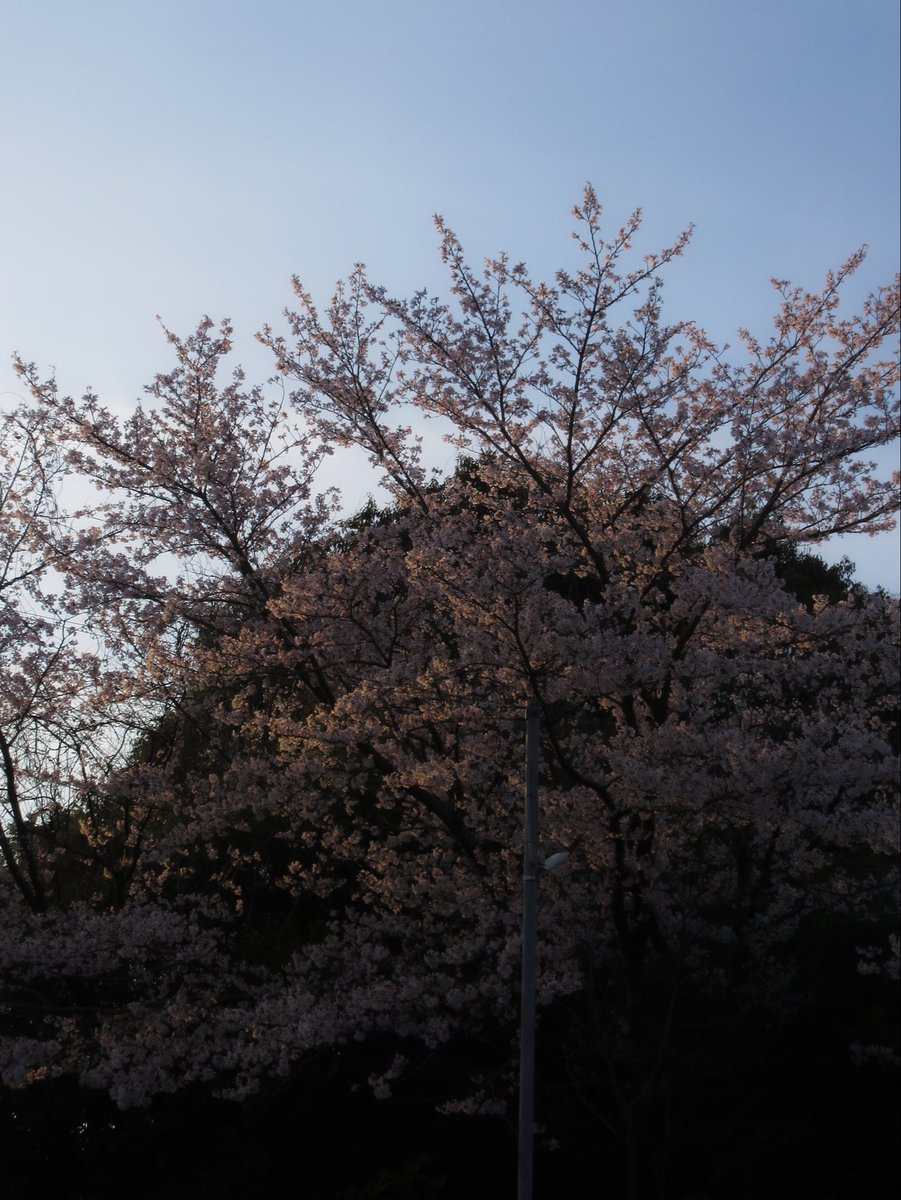 faraway_hlc's tweet photo. 記憶の中で https://t.co/Ys1QhjnXpp