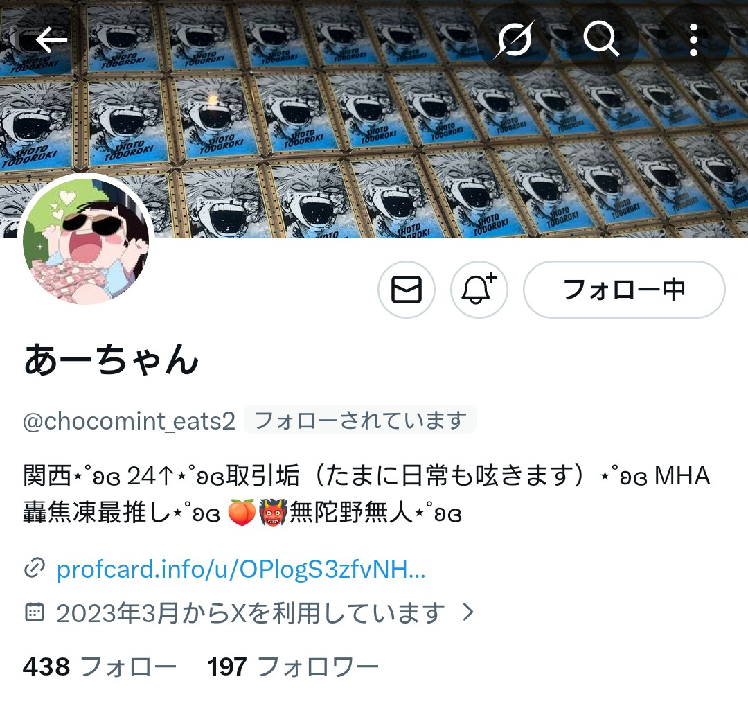 【 あーちゃん様 オーダーページ】 国内発送・正規流通商品 あーちゃん様専用♡オーダー作成ページの通販