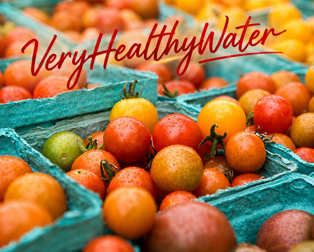 FillMershon's tweet image. veryhealthywater.org/is-your-drinki…
Is Your Drinking Water an Oxidant or an Antioxidant?
High-quality Alkaline Water Ionizers Make 9.5 pH Alkaline Water for Drinking that is Loaded with Antioxidants.
#VeryHealthyWater #DrinkingWater #antioxidants