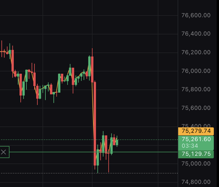 ぽむぽむぷりんてゃん tweet media