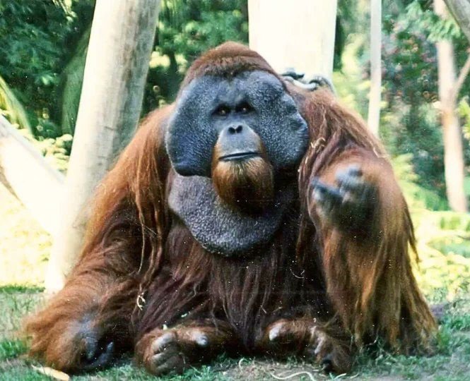 Nature is Amazing ☘️ tweet media