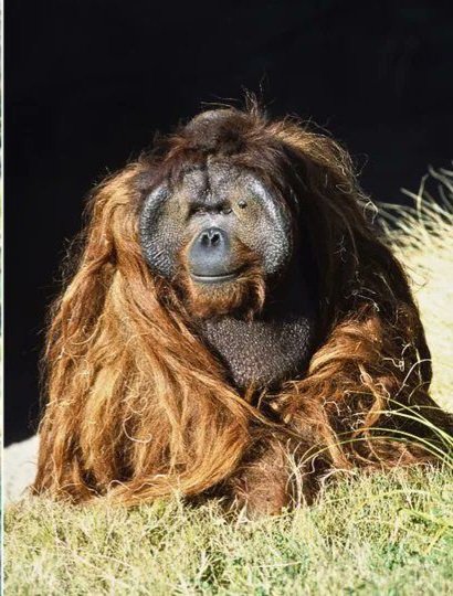 Nature is Amazing ☘️ tweet media