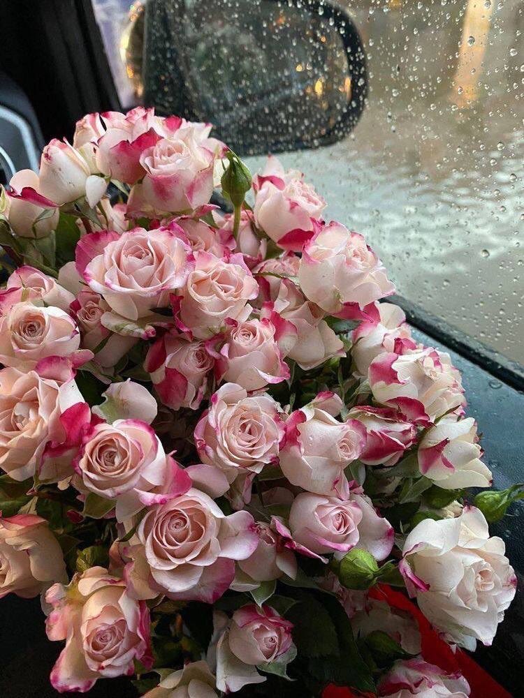 مهرة🇦🇪❣️ tweet media