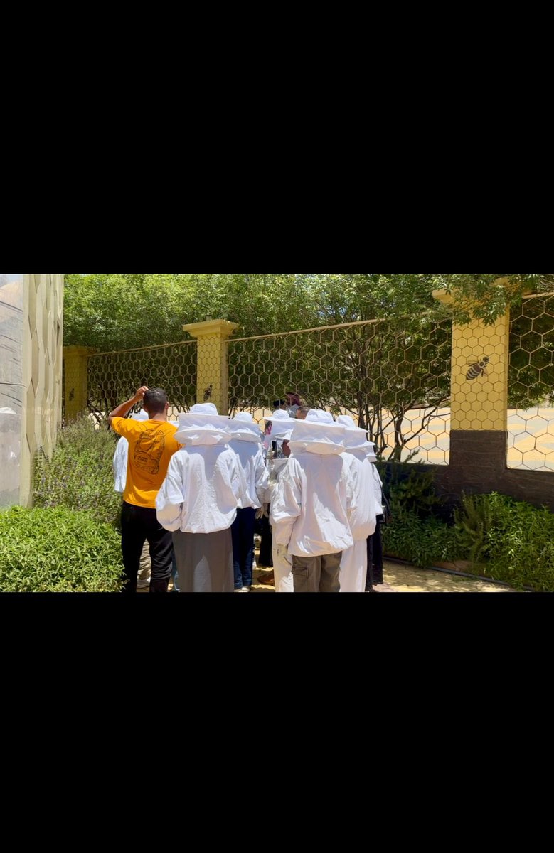BCA_Albaha's tweet photo. استقبلت الجمعية اليوم وفدًا من عدد من المكاتب السياحيه المحلية والدولية يرافقهم وفد من الهيئة السعوديه للسياحه والمكتب الاستراتيجي لتطوير منطقة الباحه.
وخلال الزيارة تم الاطلاع على مشاريع الجمعية وانشطتها وشملت الجولة زيارات منشآت الجمعيه خاصة مركز الزوار والمبيعات، … يتبع 👇🏻 https://t.co/2XvJfRR0Yd