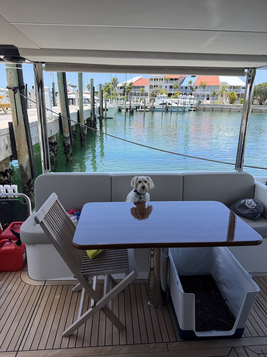 Jon Taffer tweet media