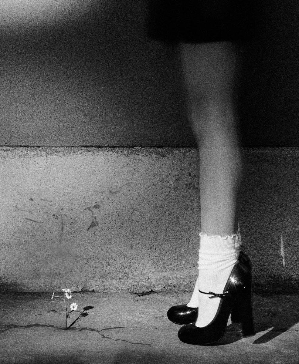 allegraꕤ tweet media