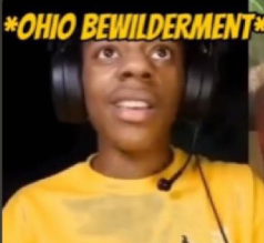 Official Kasane Teto (real) tweet media