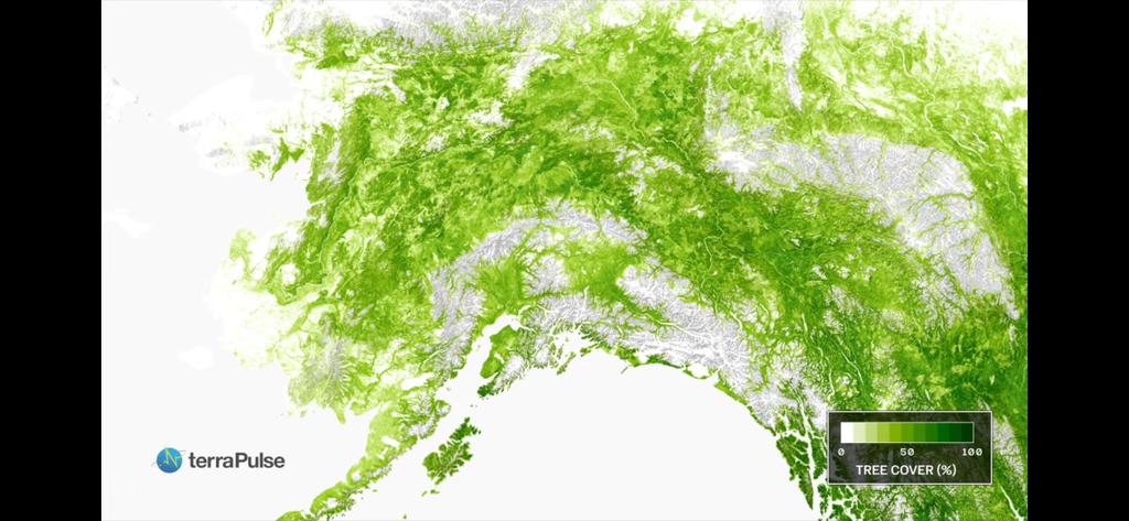 The GREENING of the PLANET . . (Plants LOVE #CO2)
((PLANTS make O))
(((People LOVE O!!!)))

Learned this in Elementary School BTW!