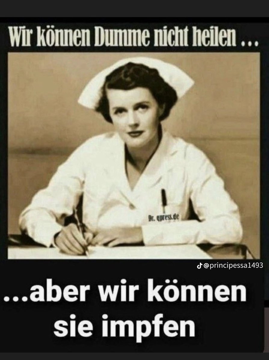 Platipus tweet media