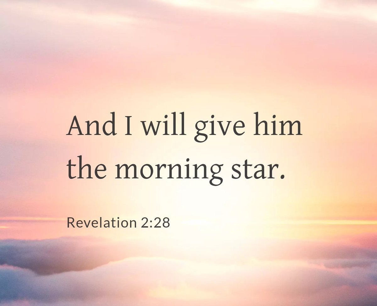 Middle Child👤 tweet media