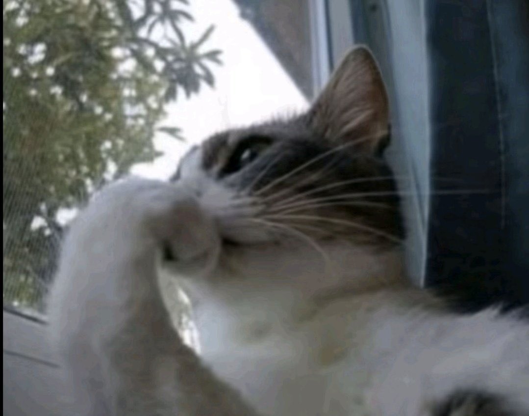 Ілля tweet media