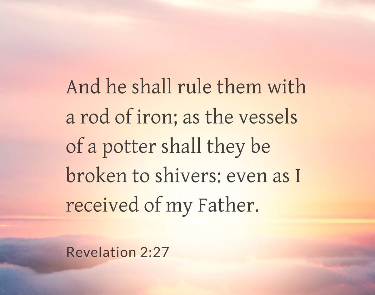 Middle Child👤 tweet media