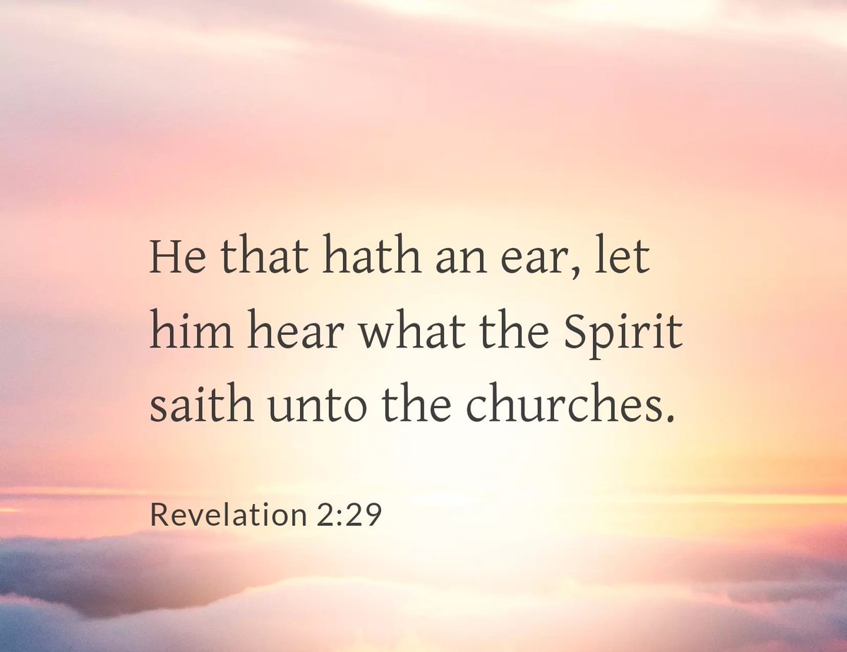 Middle Child👤 tweet media