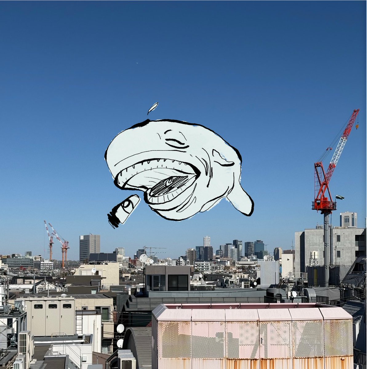 dry4dart's tweet photo. whale https://t.co/Q1uAvPiEvU